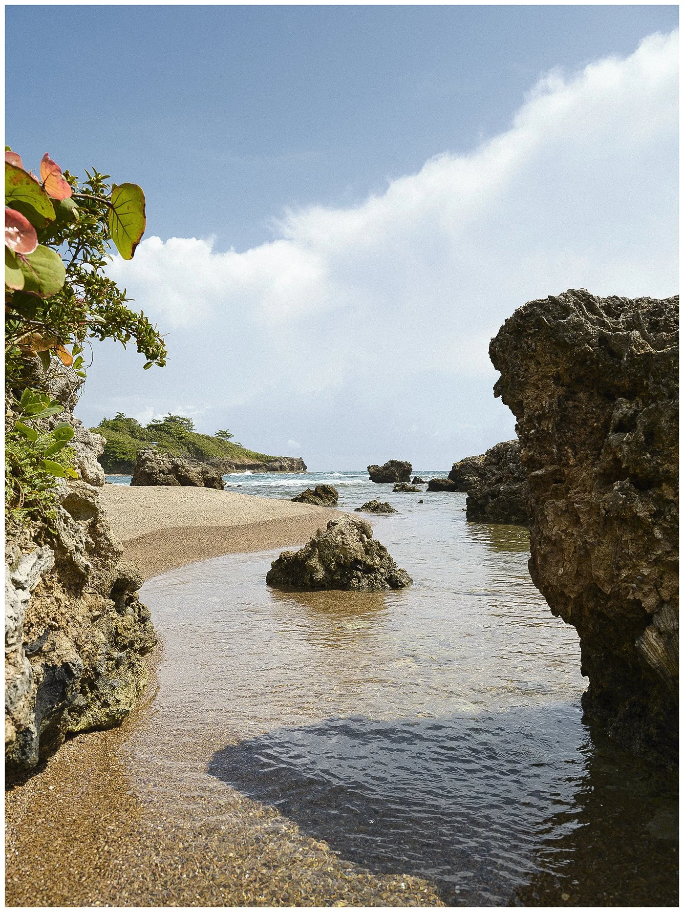 Ochi Daytime Experience